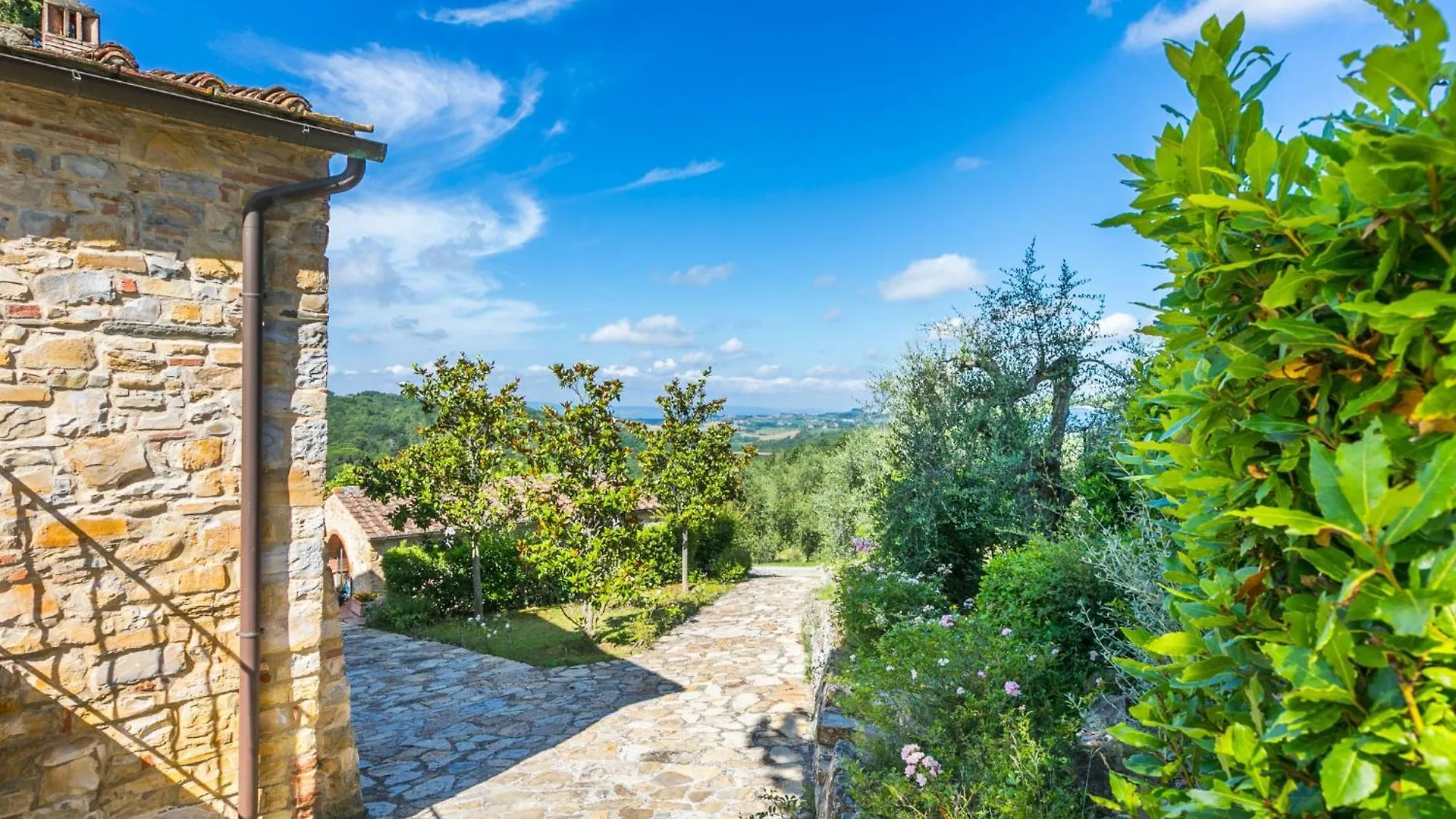 Apartment Petrarca By Interhome San Donato in Poggio
