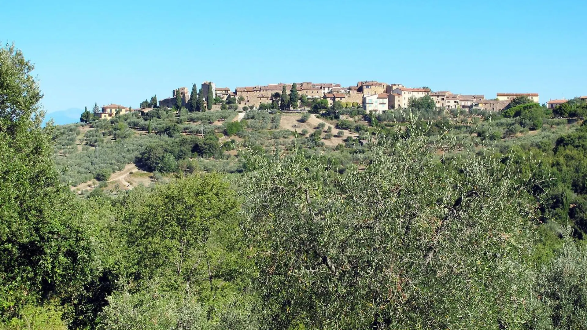 Apartment Petrarca By Interhome San Donato in Poggio