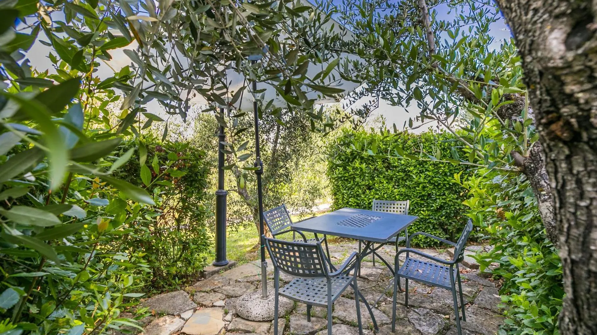 Apartment Petrarca By Interhome San Donato in Poggio
